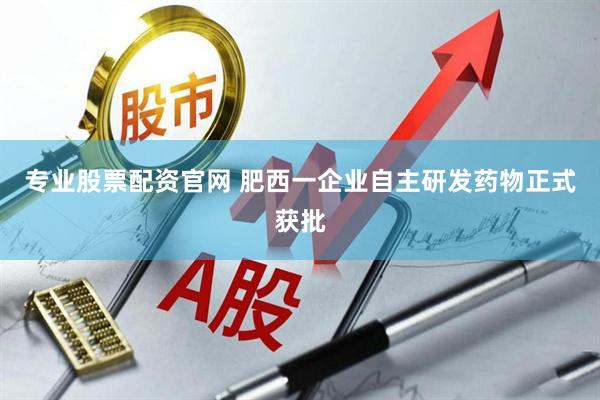 专业股票配资官网 肥西一企业自主研发药物正式获批