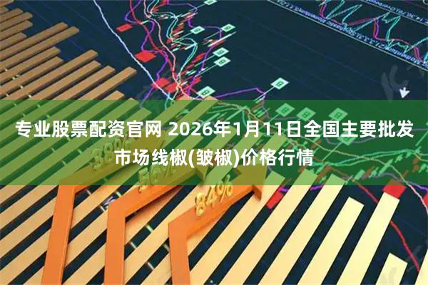 专业股票配资官网 2026年1月11日全国主要批发市场线椒(皱椒)价格行情